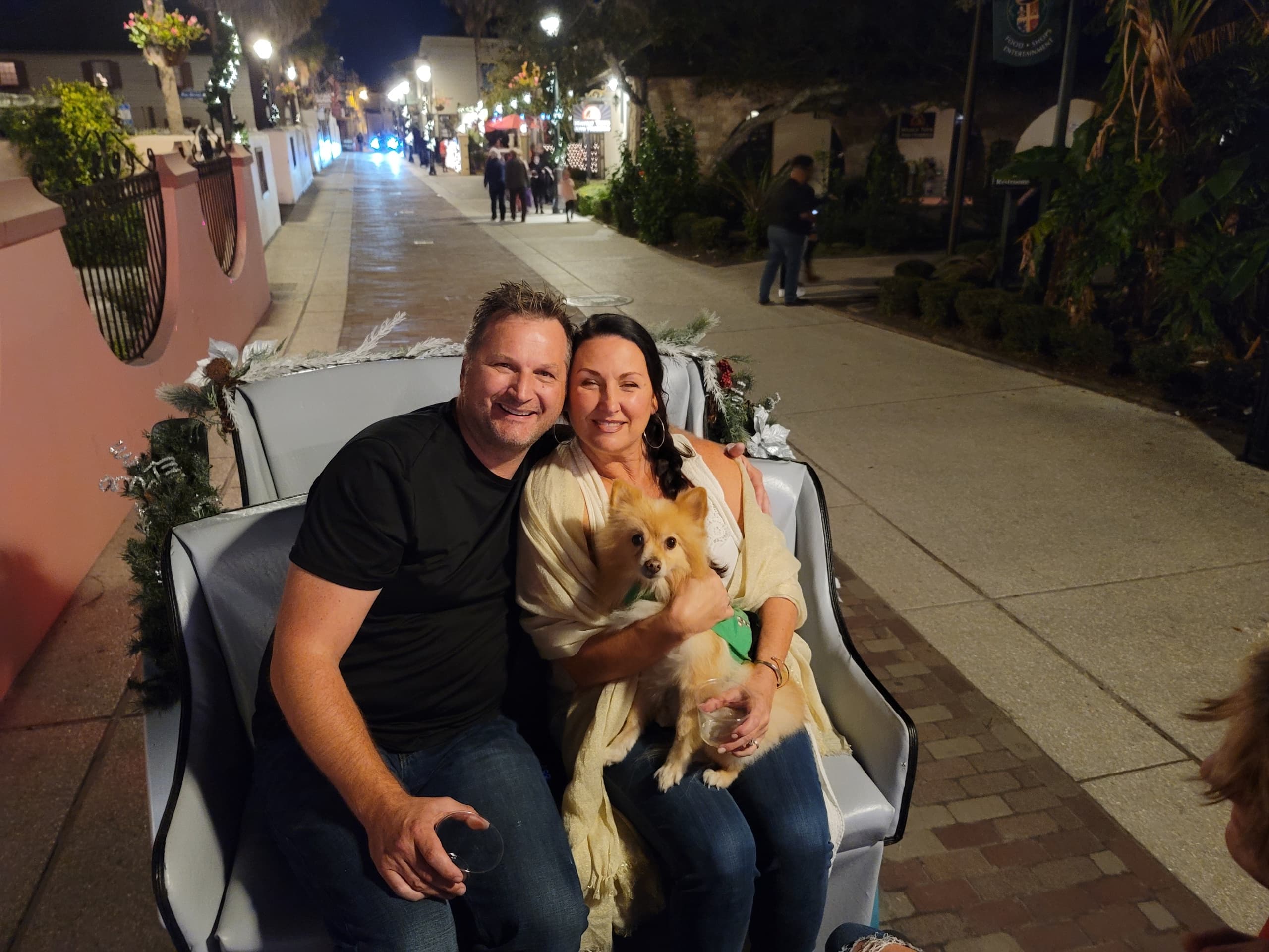 Private Carriage Ride
