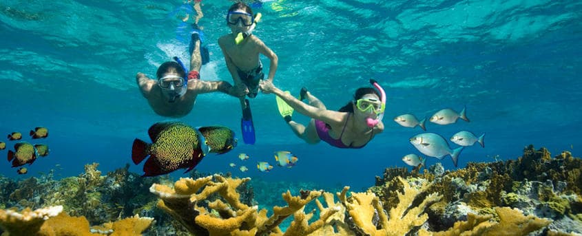Snorkeling Trips