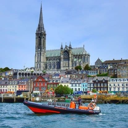 Cork City Safari
