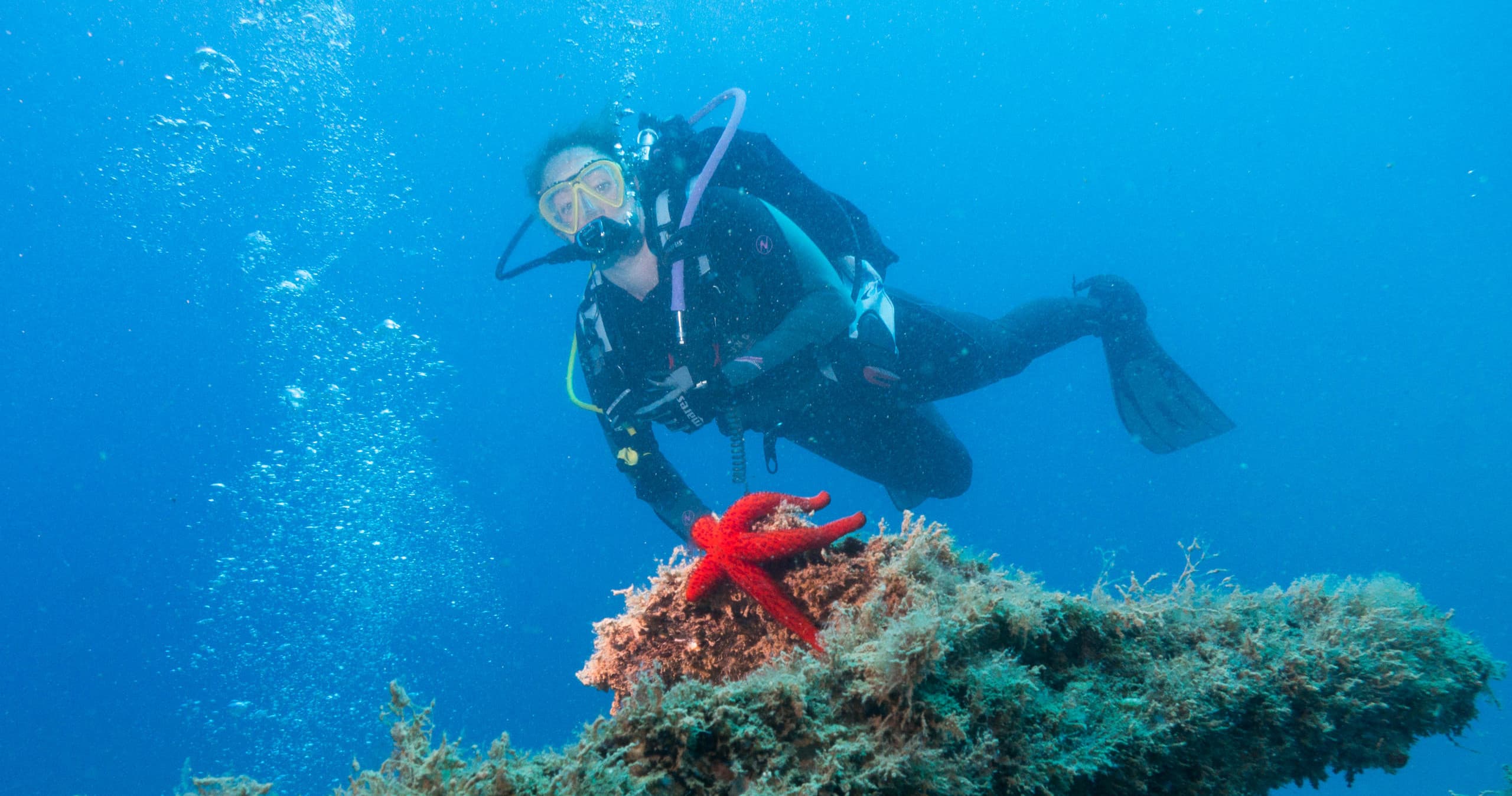 Bautizo de buceo en Marina St. Jordi