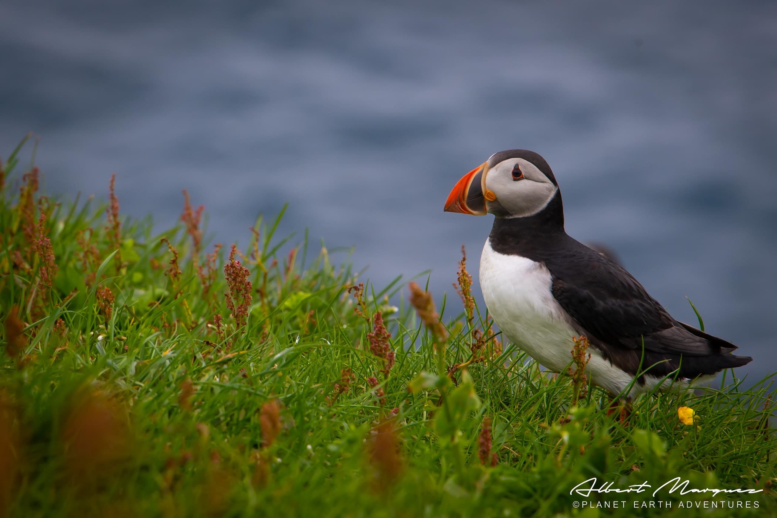 Day in Seward & Kenai Fjords National Park