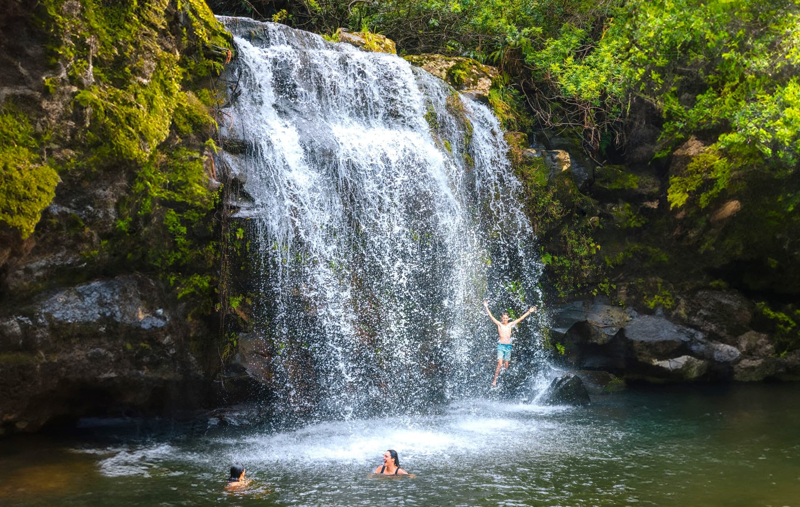 Kohala Waterfalls Adventure
