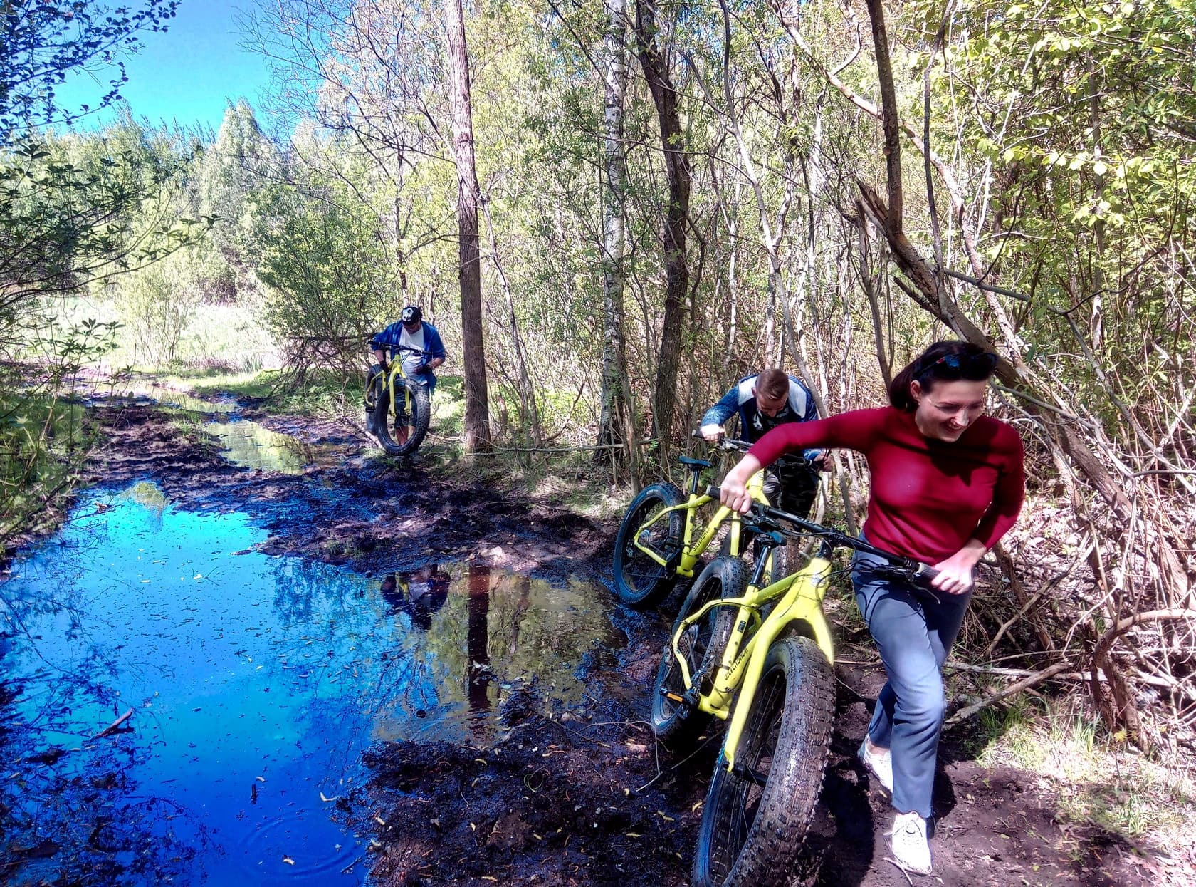 Swamps and bogs tour