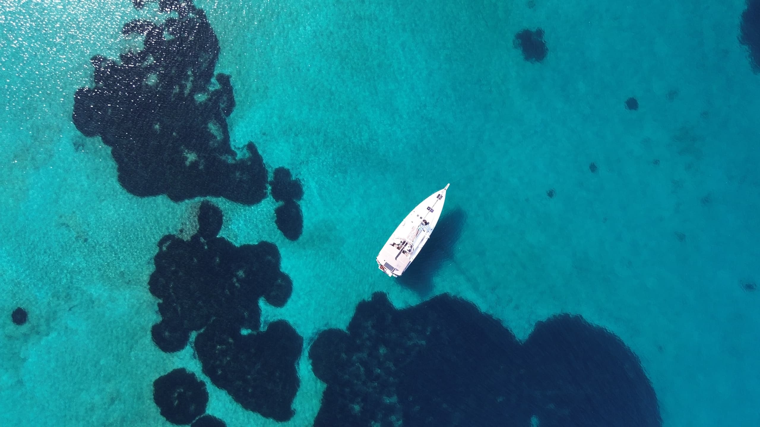 Aegina Exploration, Tasting & Sailing Adventure