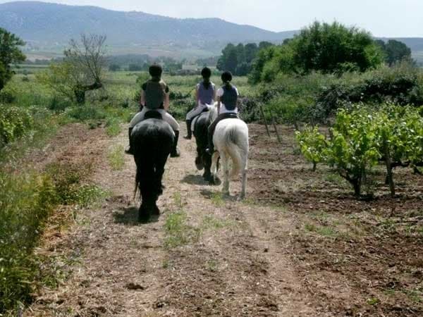Visita a bodega & Ruta a caballo