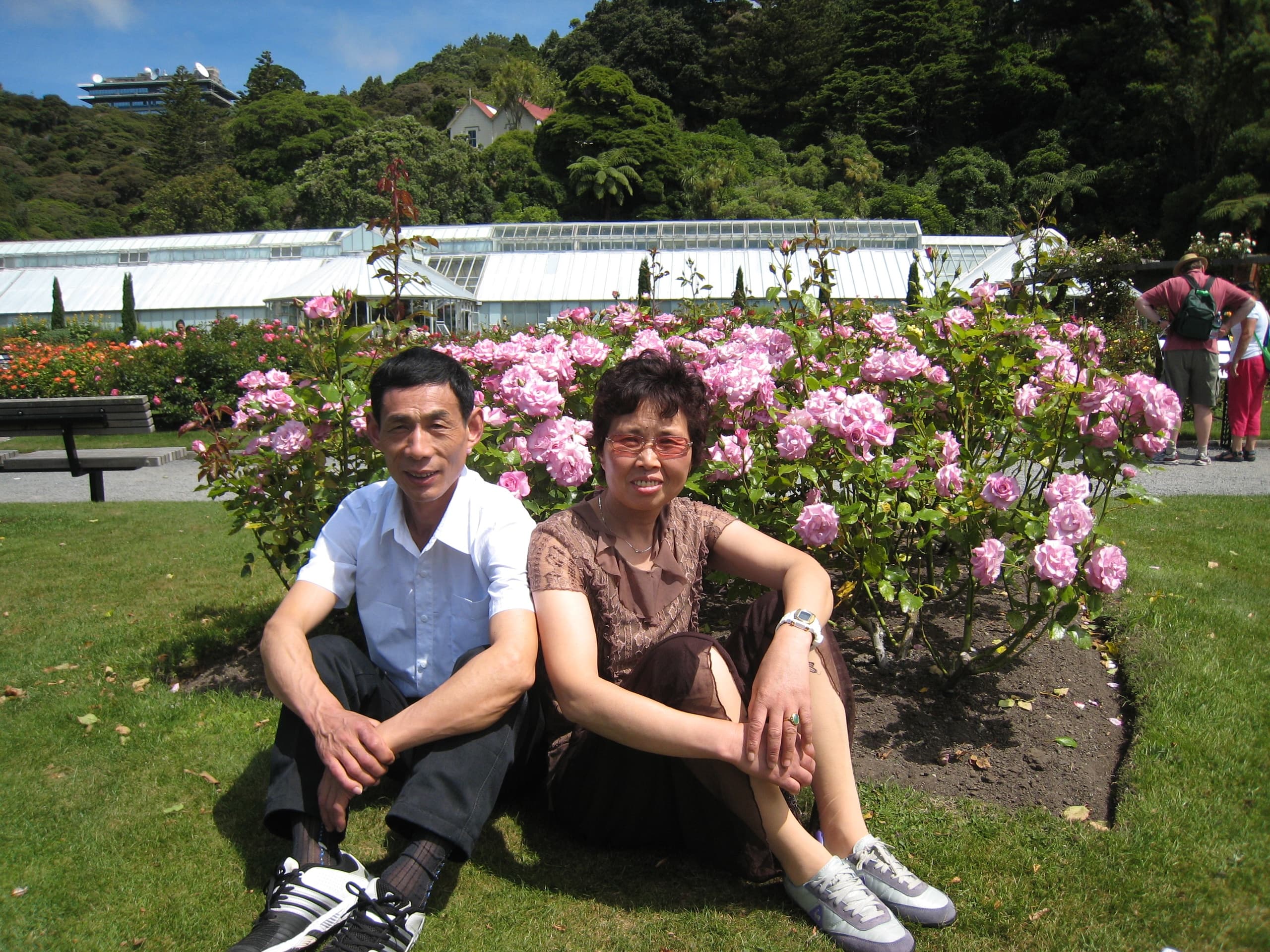 Mandarin Wellington Highlights Tour 惠灵顿特色景点半日游中文团