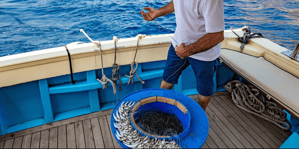 Capri Boat Fishing Tour