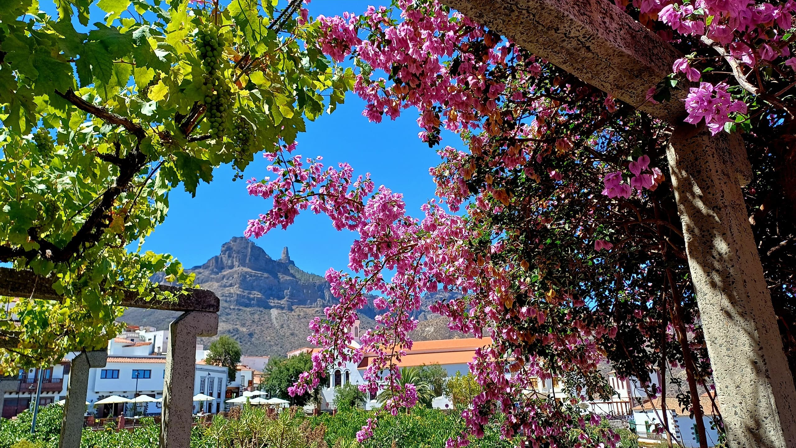 Gran Canaria highlights and hidden gems by 2 native guides
