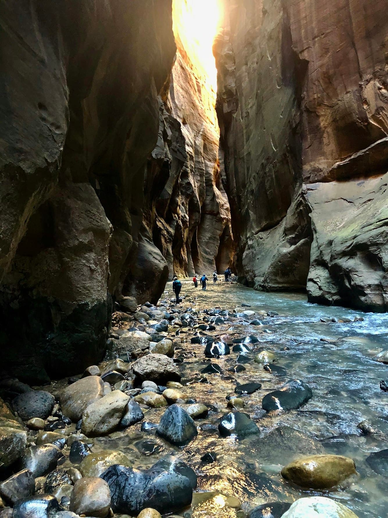 Zion Full Day Small Group Tour & Hike (with Narrows)