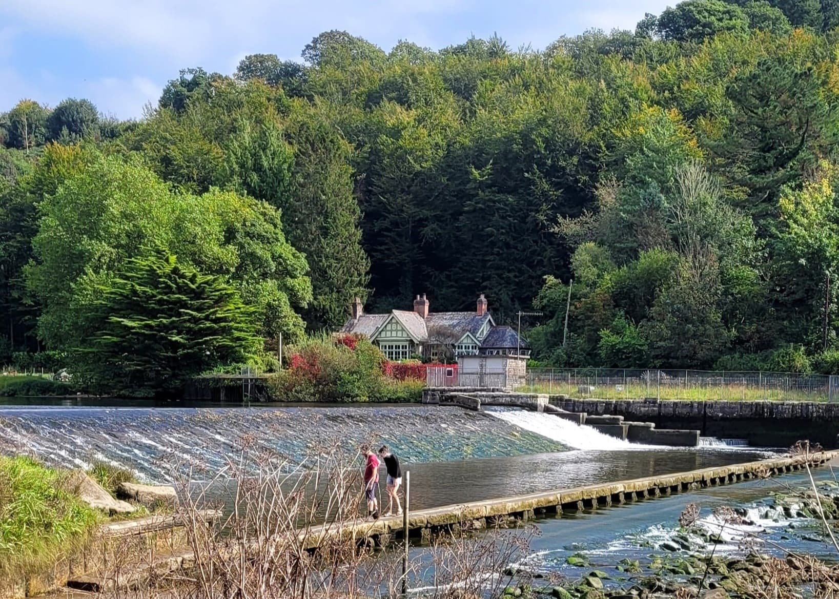 Tamara Way: Bere Ferrers to Tamerton Foliot guided walk