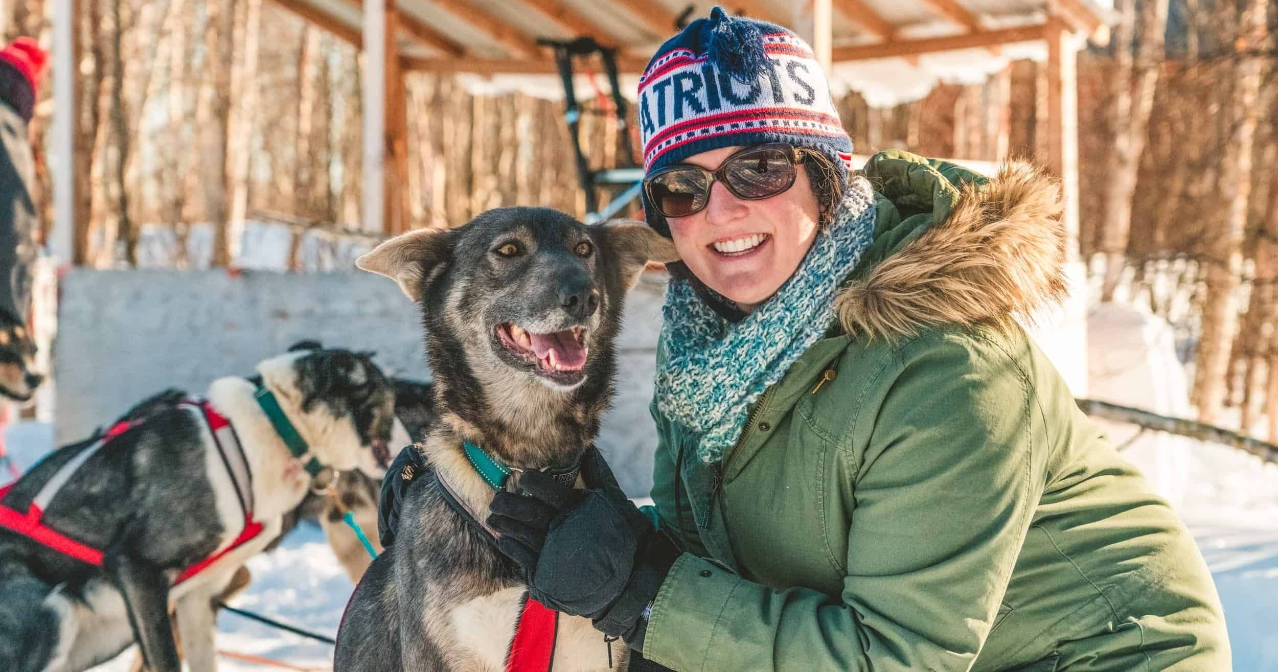 Iconic Alaska - Dog Mushing & Glacier (Private)