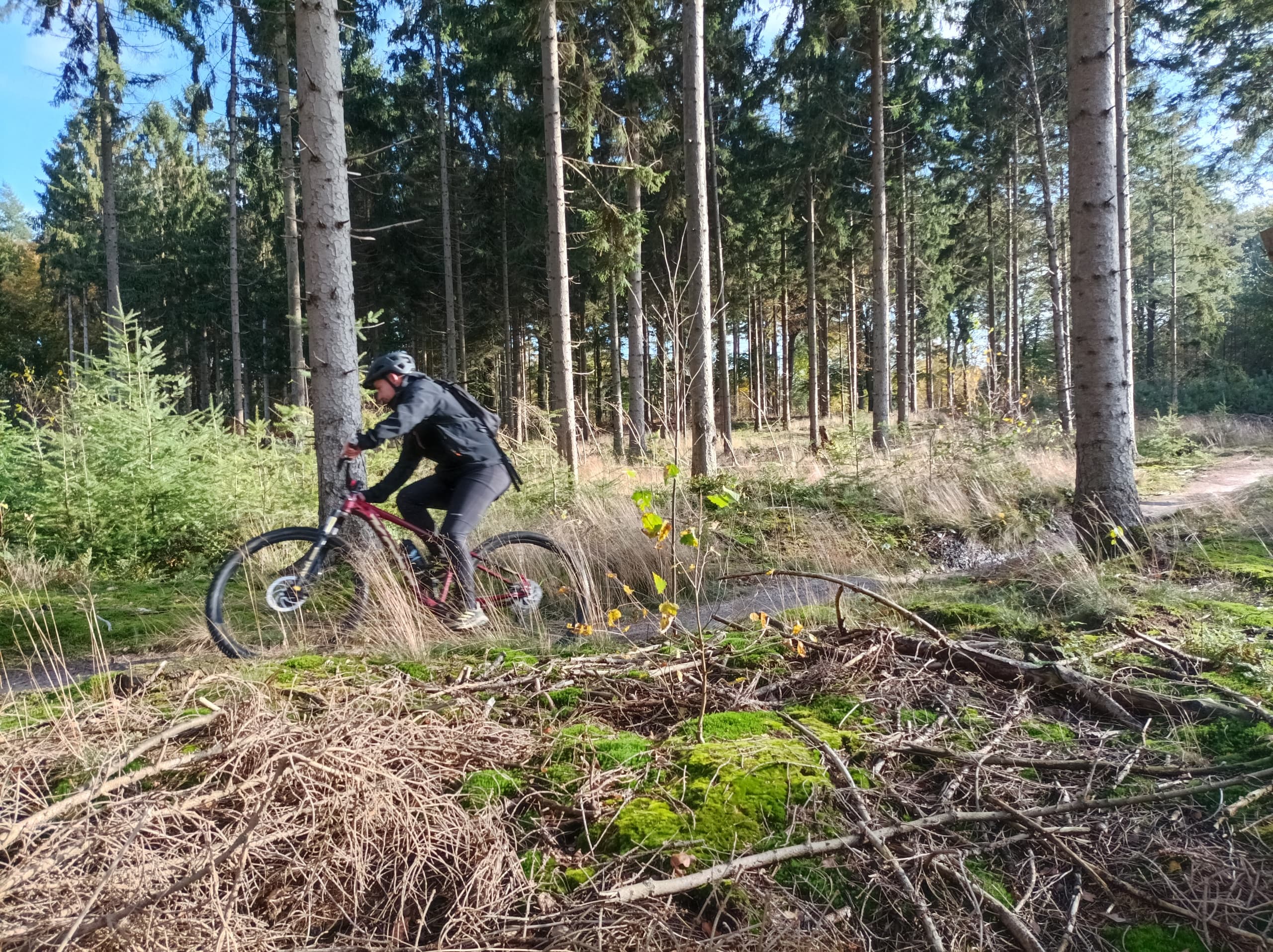 2 uren MTB huren | Lage Vuursche
