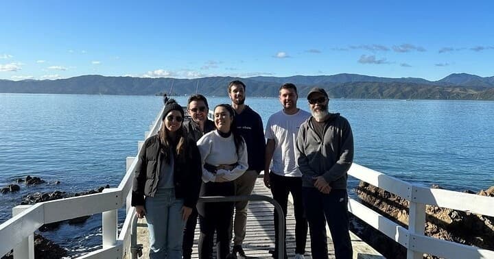 Wellington City Heights Private Tour