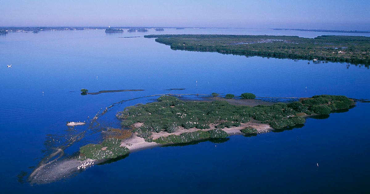 Pelican Island Cruise