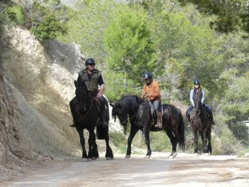 Ruta a Caballo
