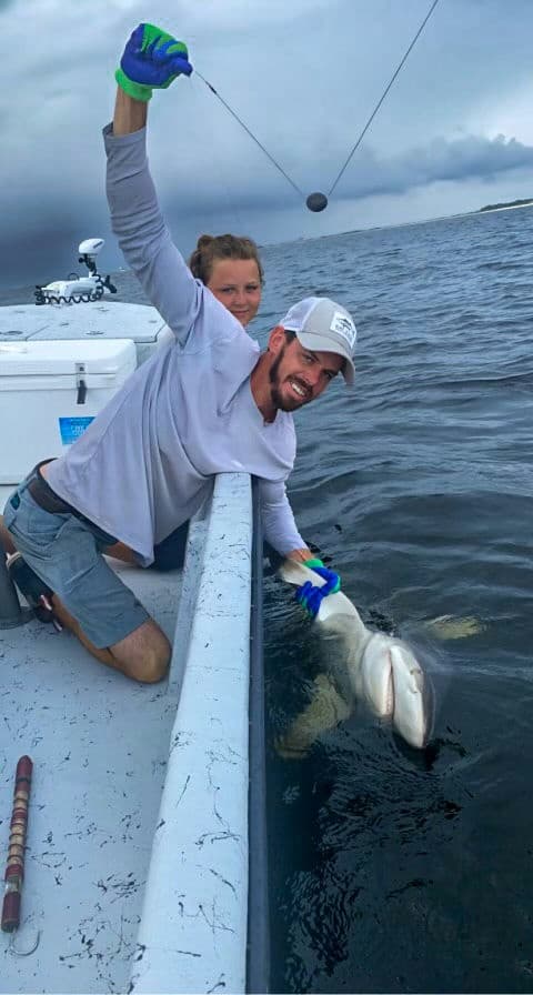 4 Hour Shark Trip