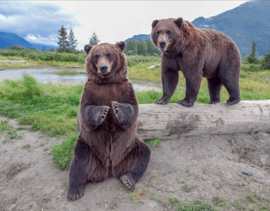 Wildlife Conservation Center W/ Lunch & Beer Sampling