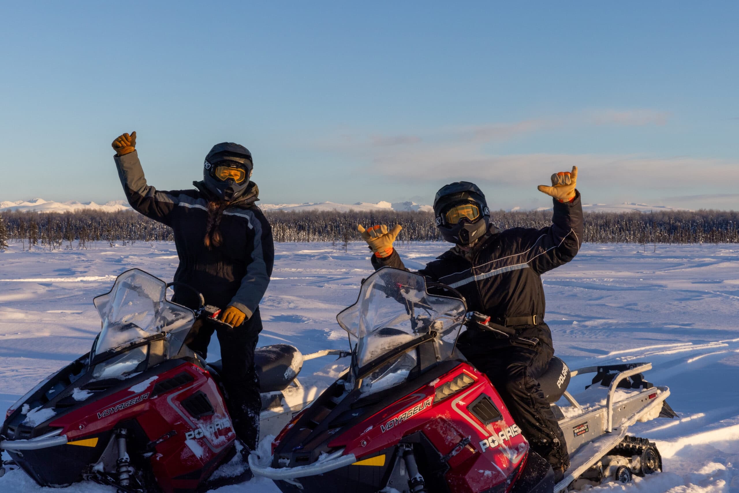 Dog Sledding & Snowmobile Combo