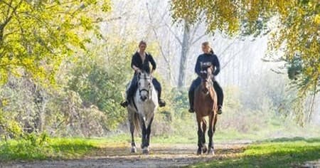 Horse Back Riding In Chianti With Siena, San Gimignano And Monteriggioni