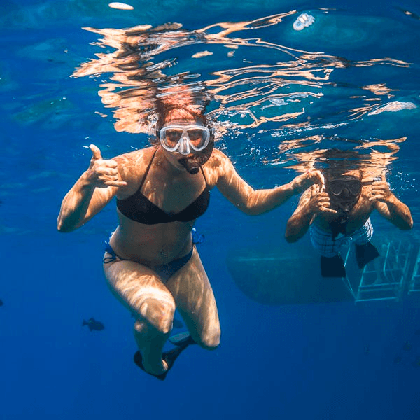 Lanai Snorkel & Dolphin Watch • Maalaea