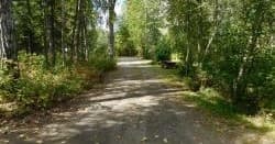 Camp Site 43