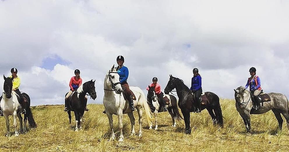 Wandelpony