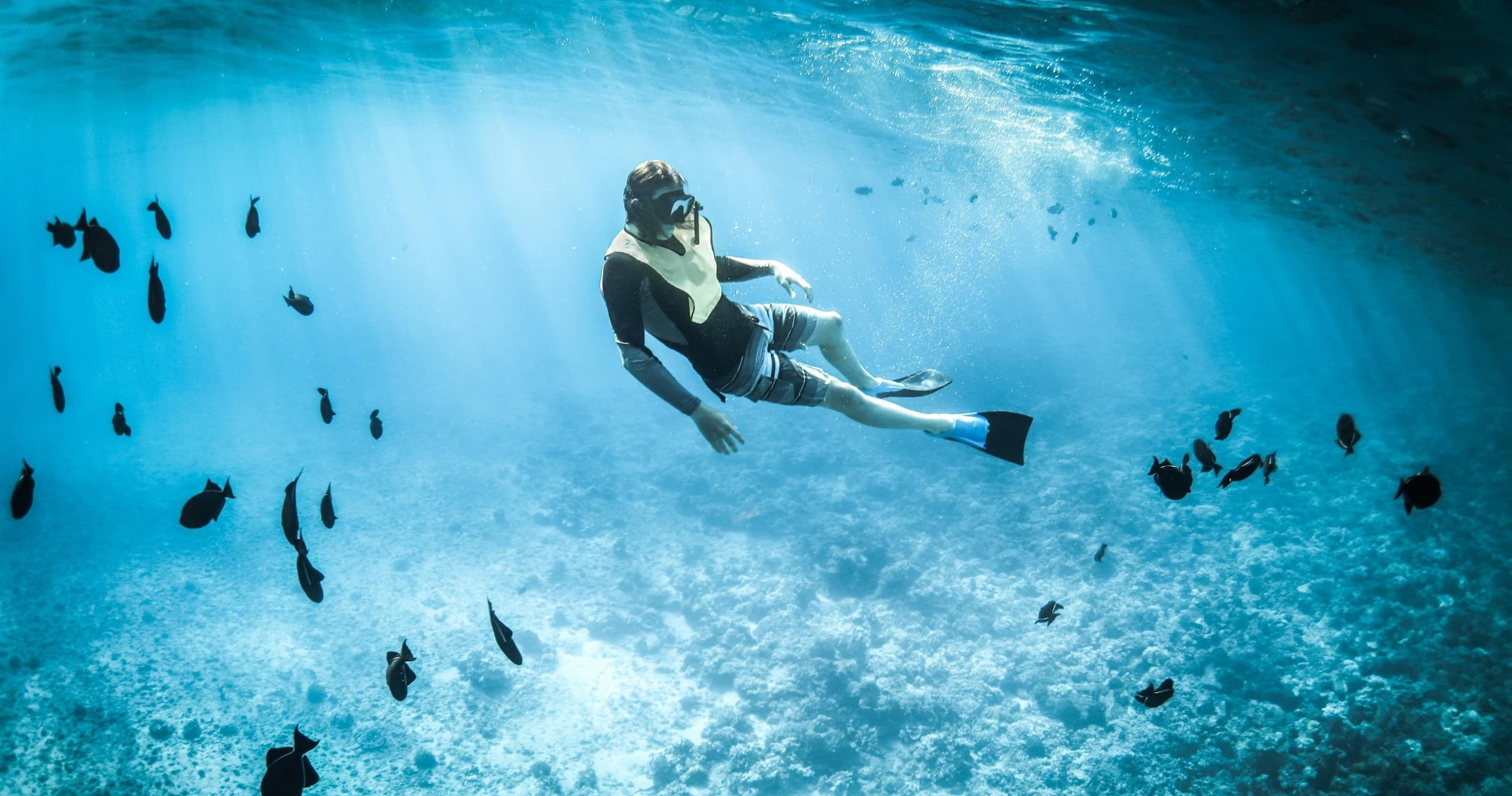 Sea Fox 4 Hour Snorkel Excursion