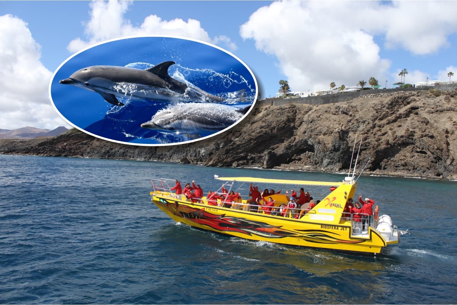 Mini Crucero de Delfines