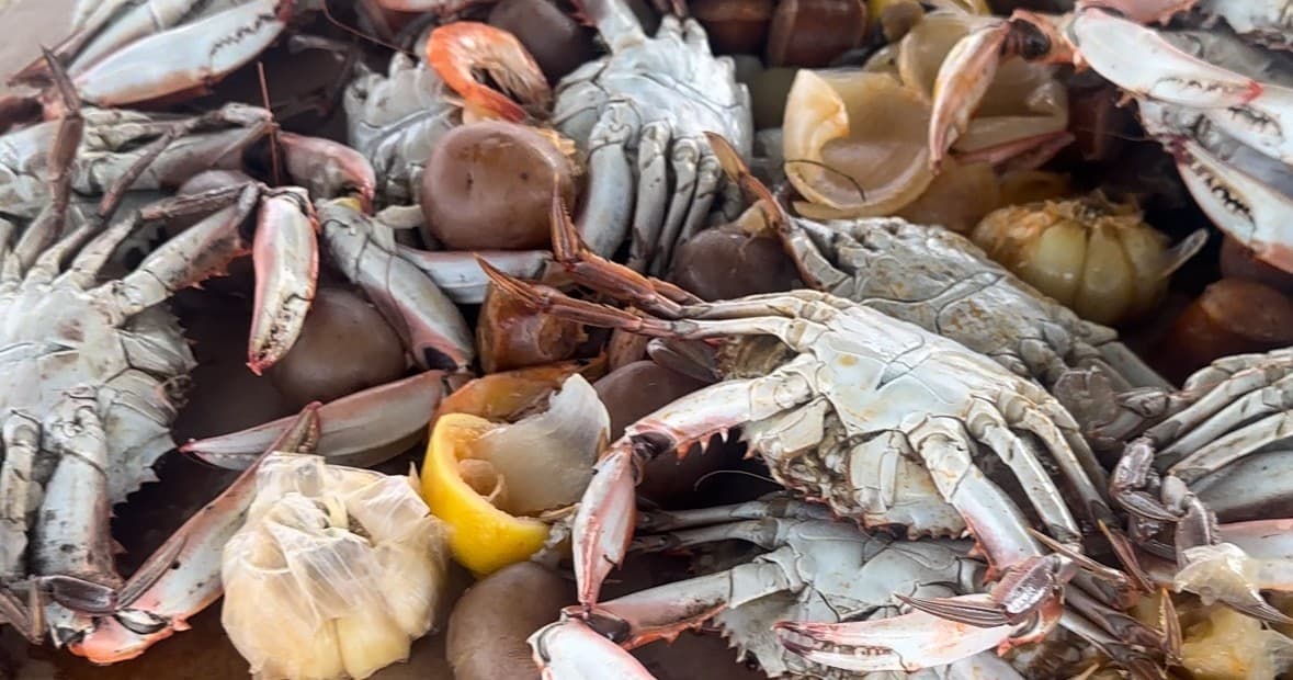 Sunset Cocktail Cruise & Seafood Boil