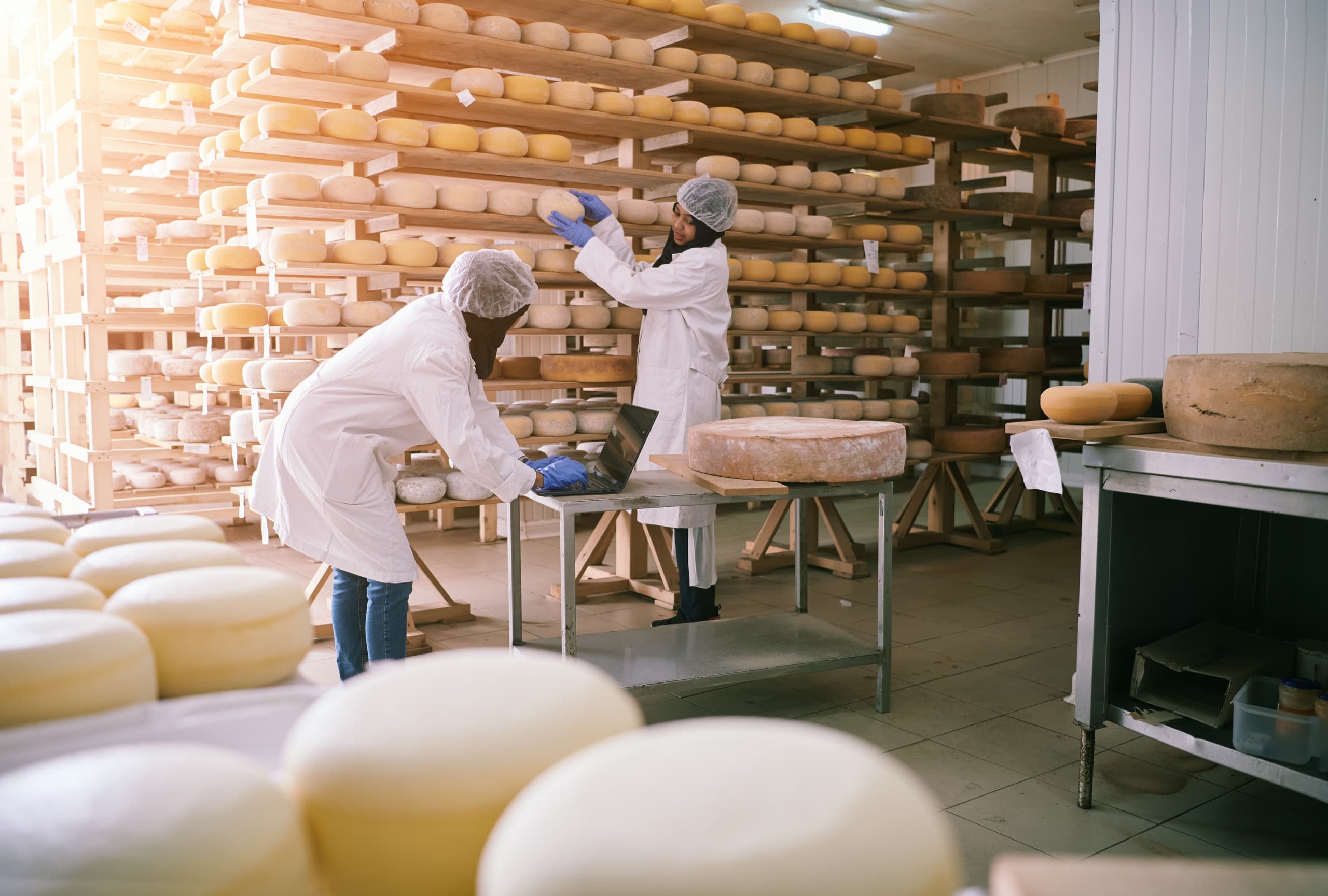 Parmigiano Cheese Experience