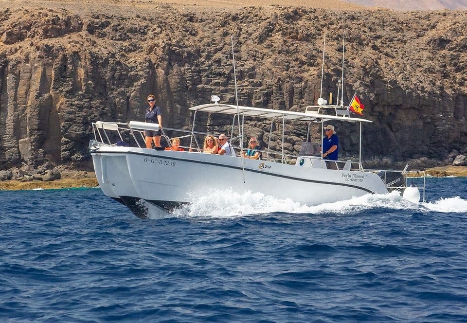 Morning Sea Safari