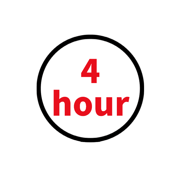 4 Hour Rental