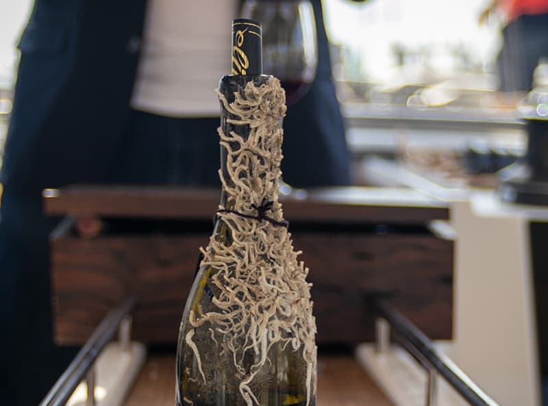 Sailing Tour and Tasting of Submarine wines on board