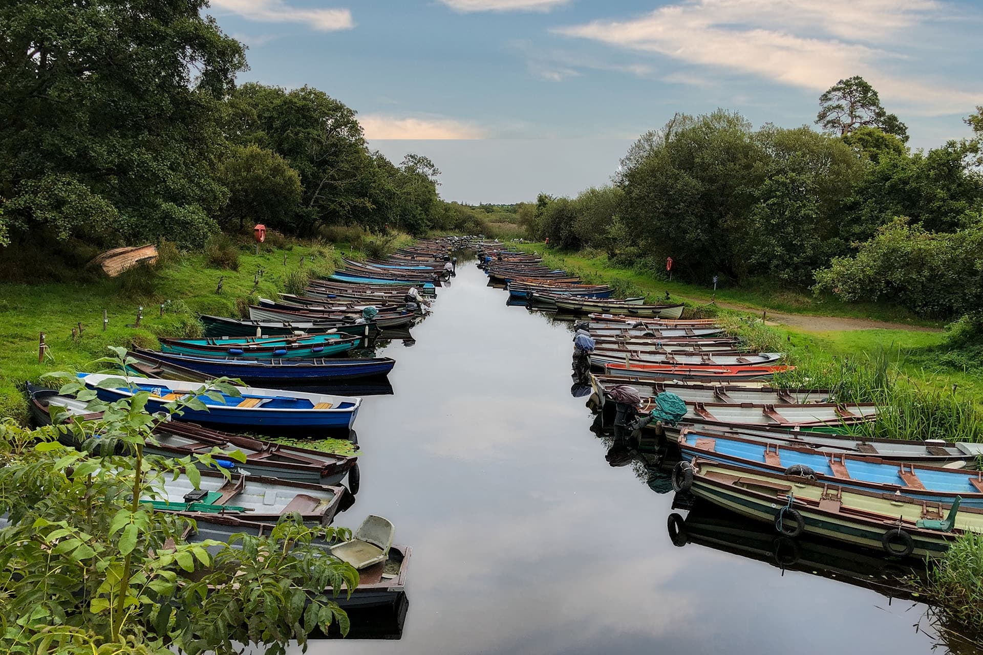 Killarney National Park Tour
