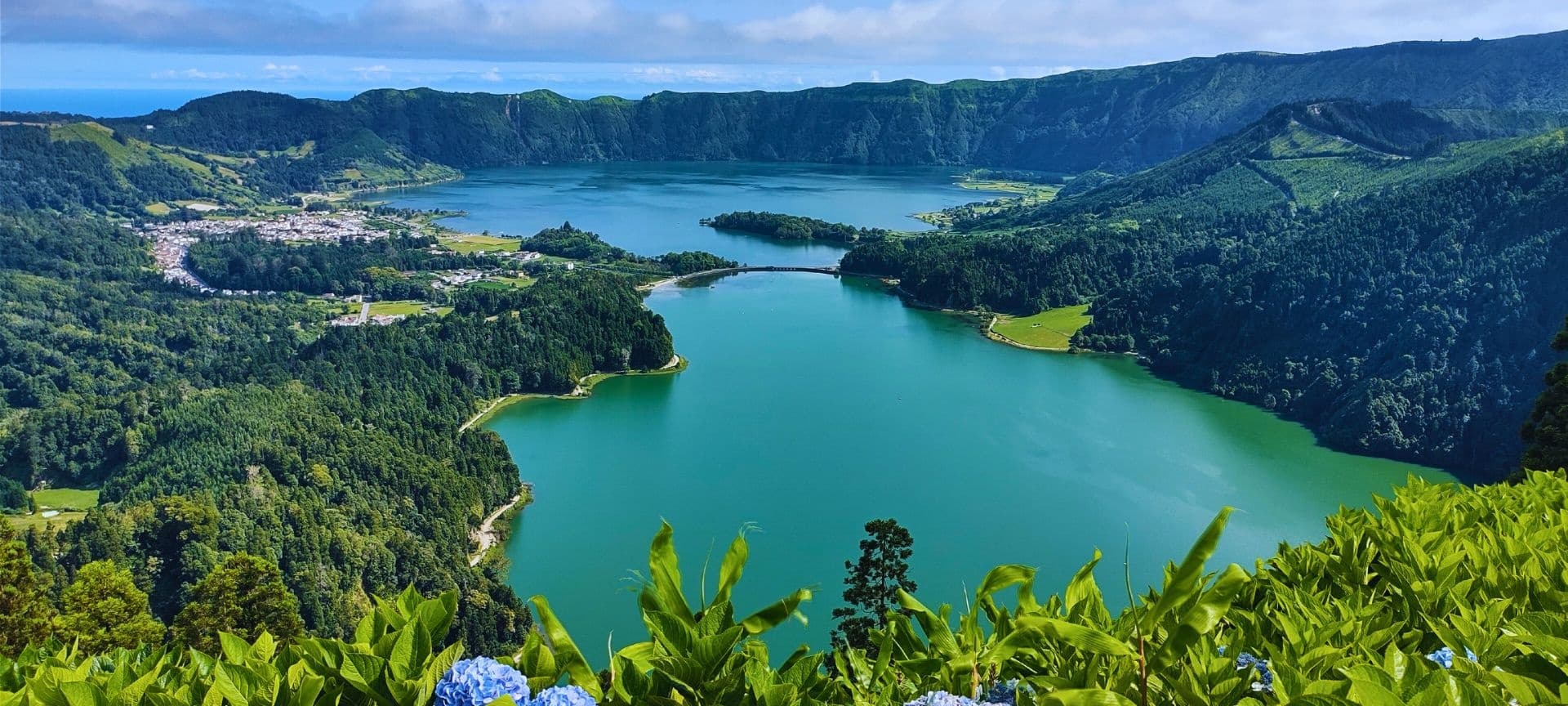 Cruises/Half-Day Tour