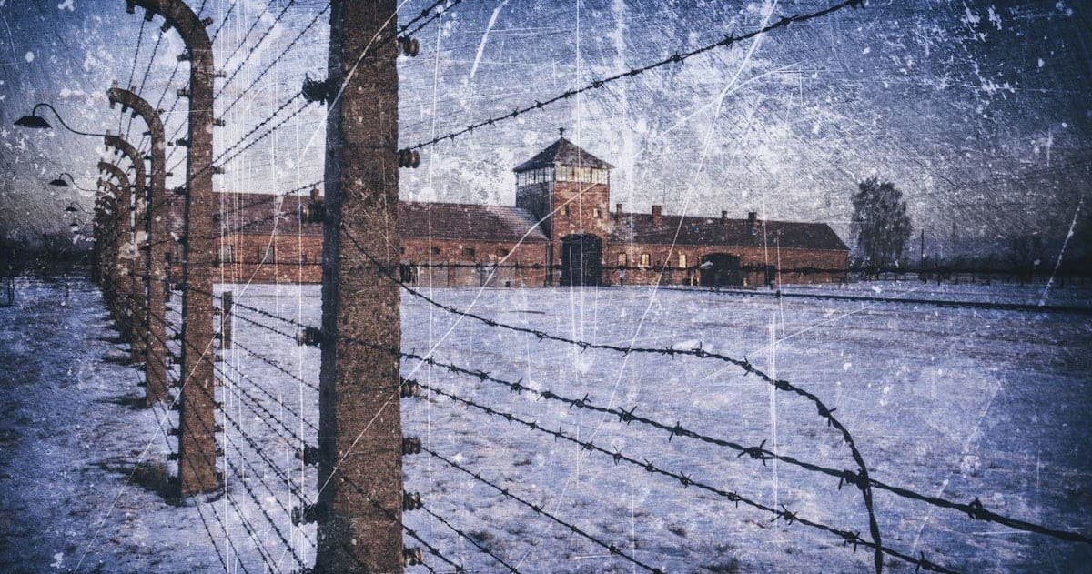 Auschwitz & Wieliczka Salt Mine Day Tour from Krakow