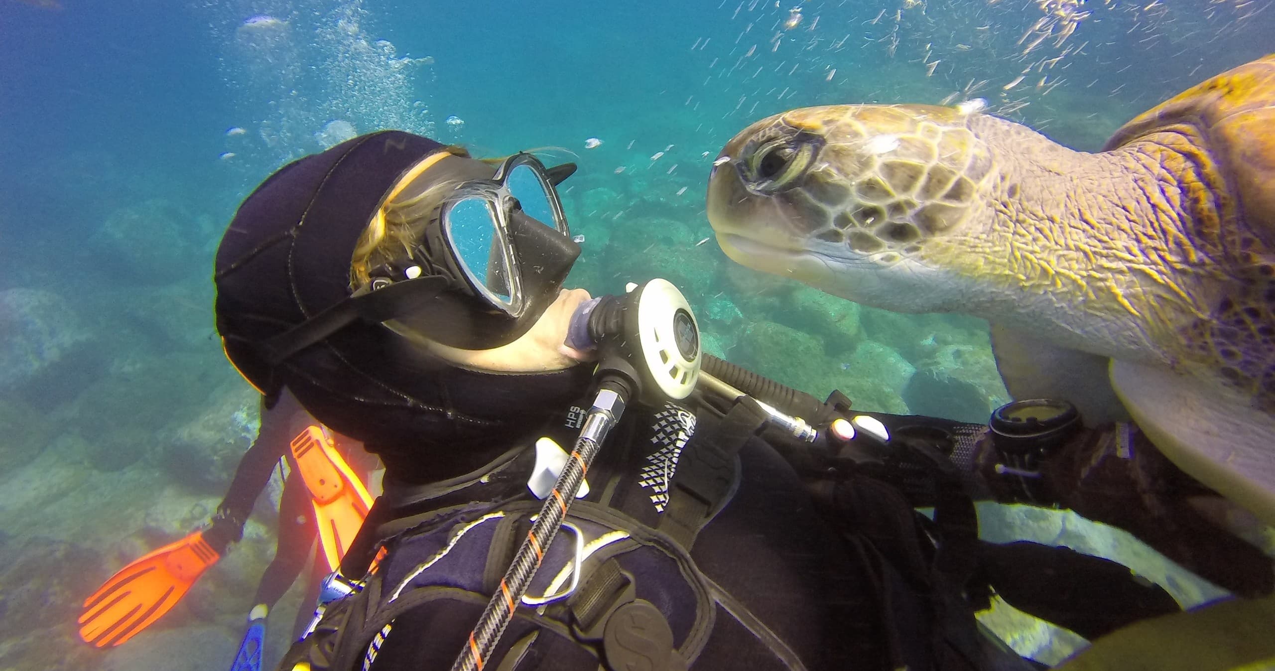 Bautismo de buceo con tortugas atlánticas en Costa Adeje, Tenerife