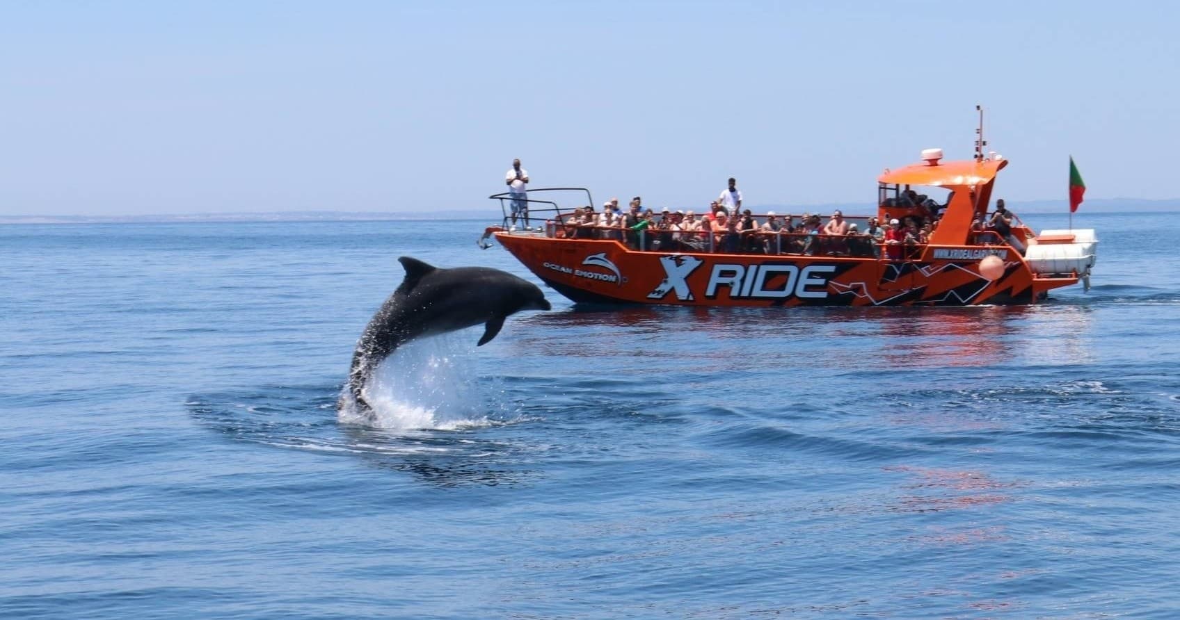 X Ride – Caves (Benagil) & Dolphins Cruise