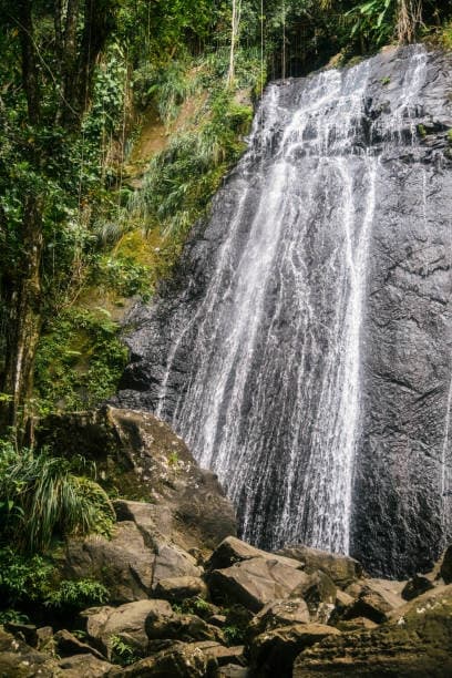 HYATT REGENCY, National Rainforest El Yunque, Half Day Tour.