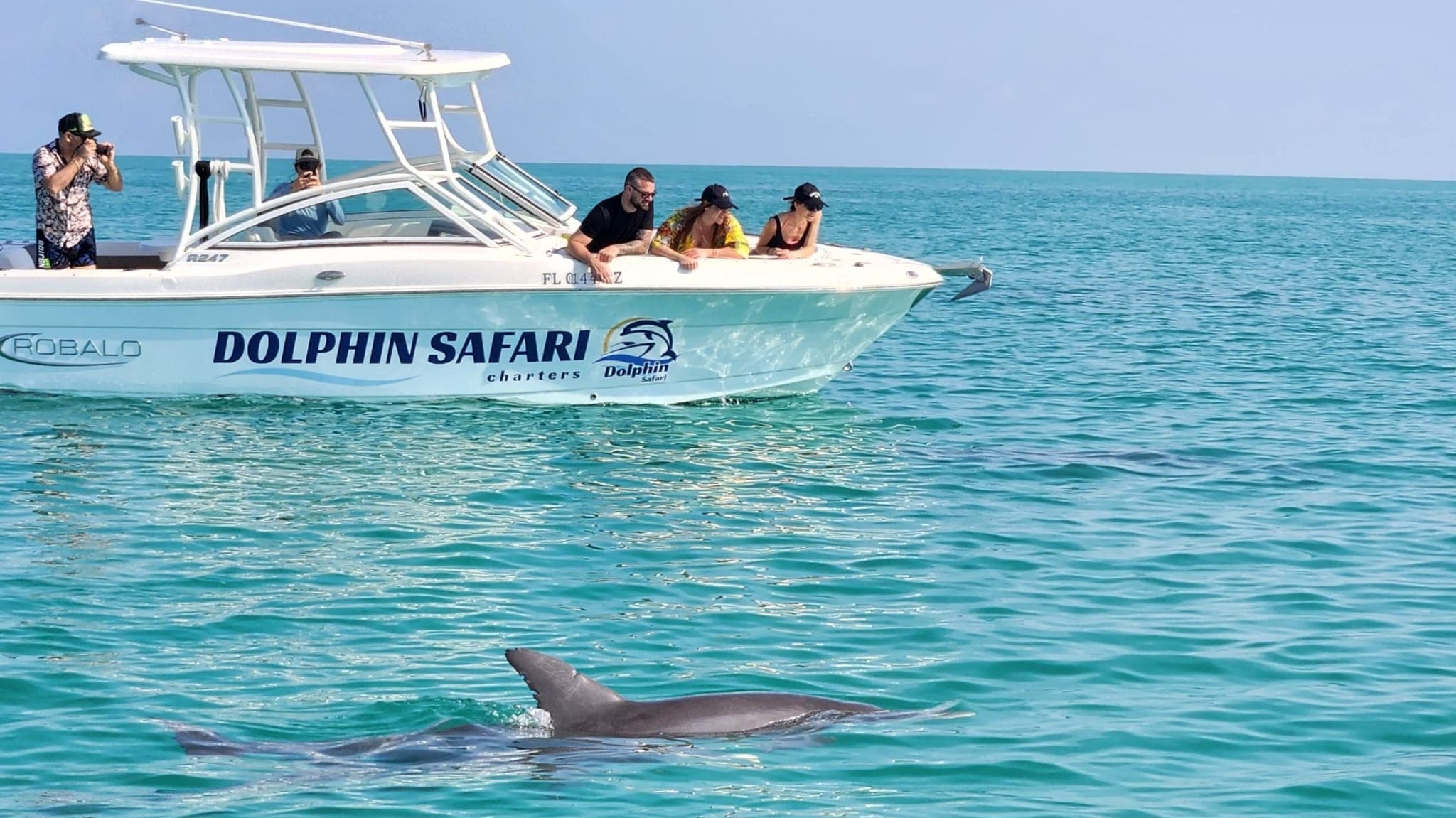Dolphin & Snorkeling