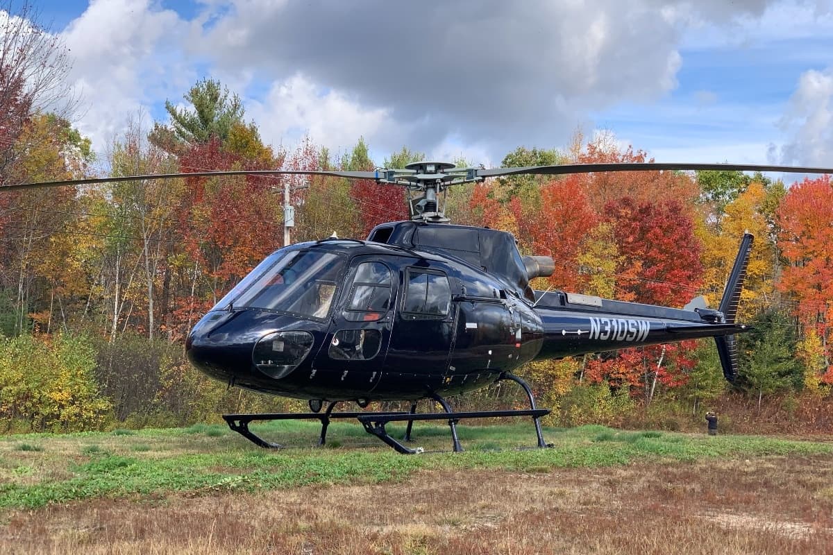 Scenic Lakeside Helicopter Proposal