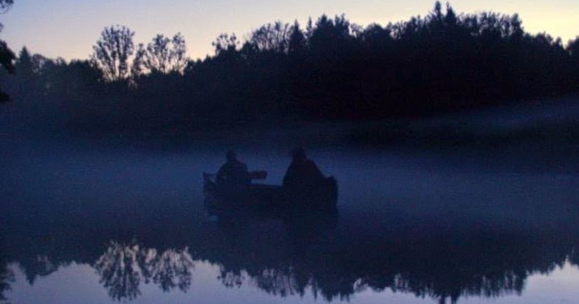 Night Trip