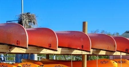 Two Day Kayak / Canoe Rental