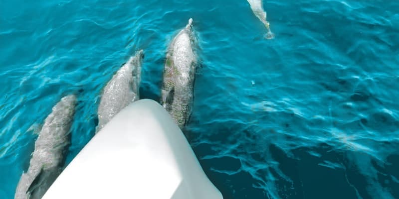 Private Half Day Sail