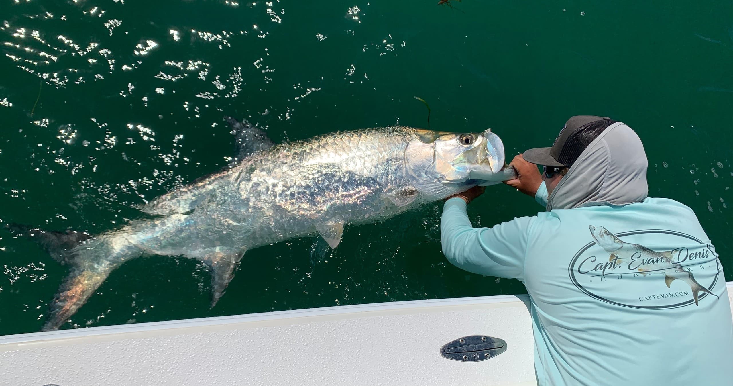 5 Hour Tarpon Fishing