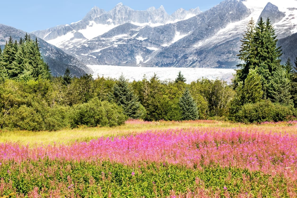 Juneau City Tour