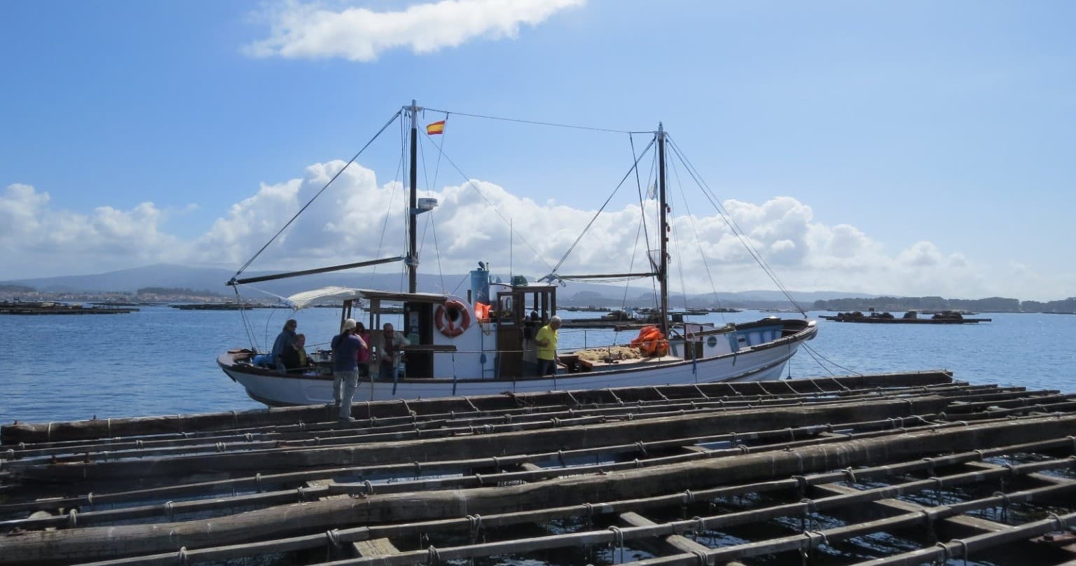 Visita batea mejillón desde Cambados