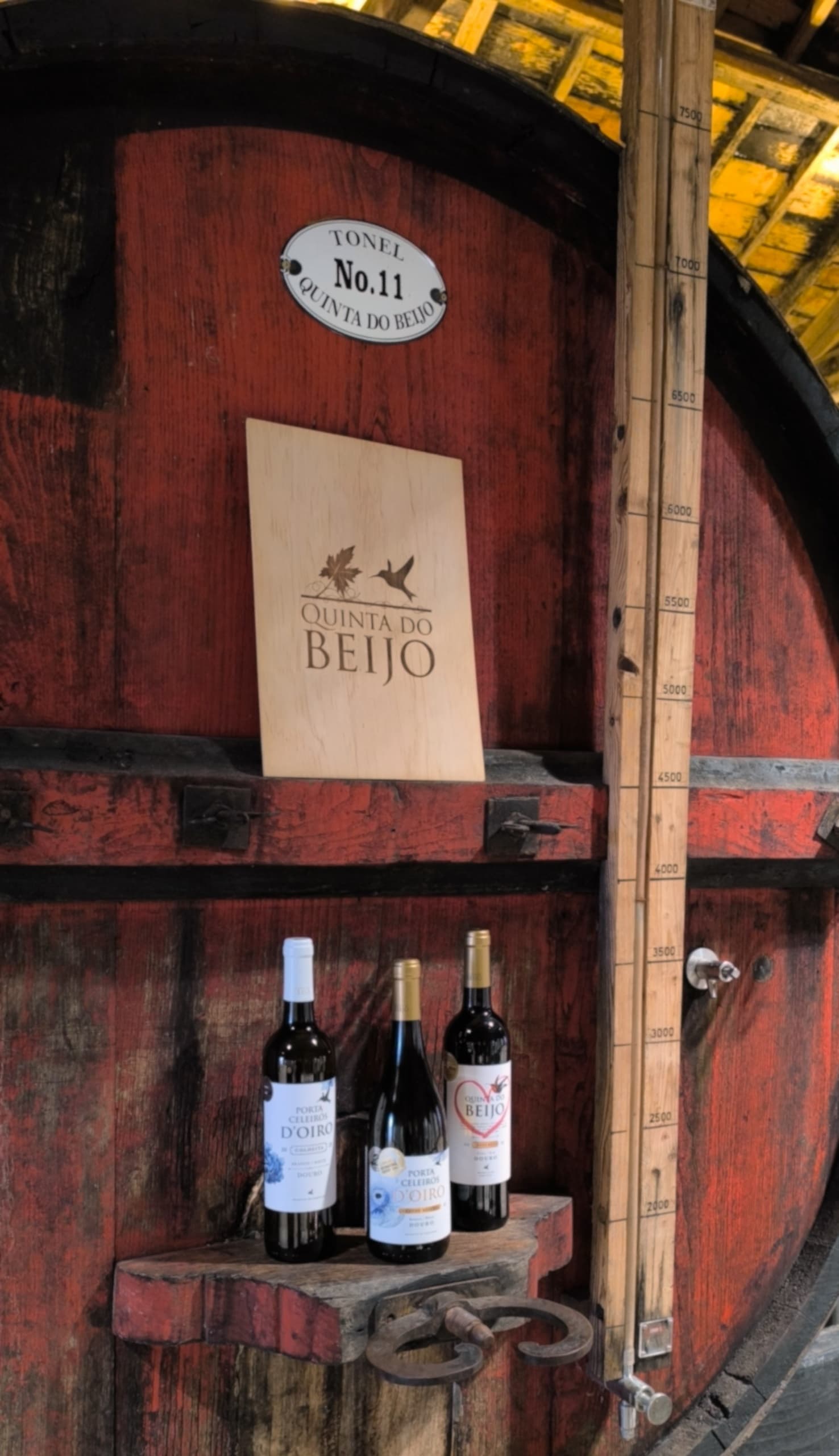Visita Nº3 - Premium (c/ Prova de Vinho)