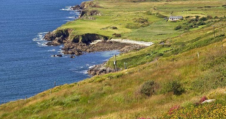 The Sheeps Head Way