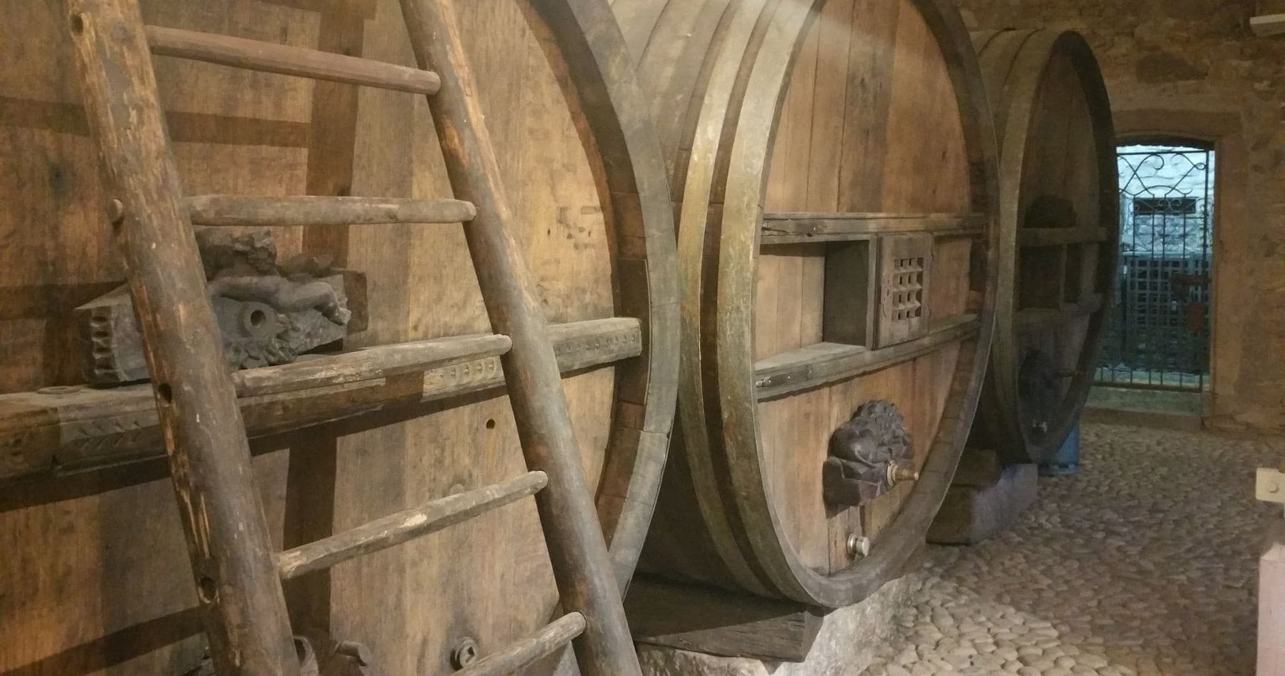 Alsace Wine & Terroir Experience